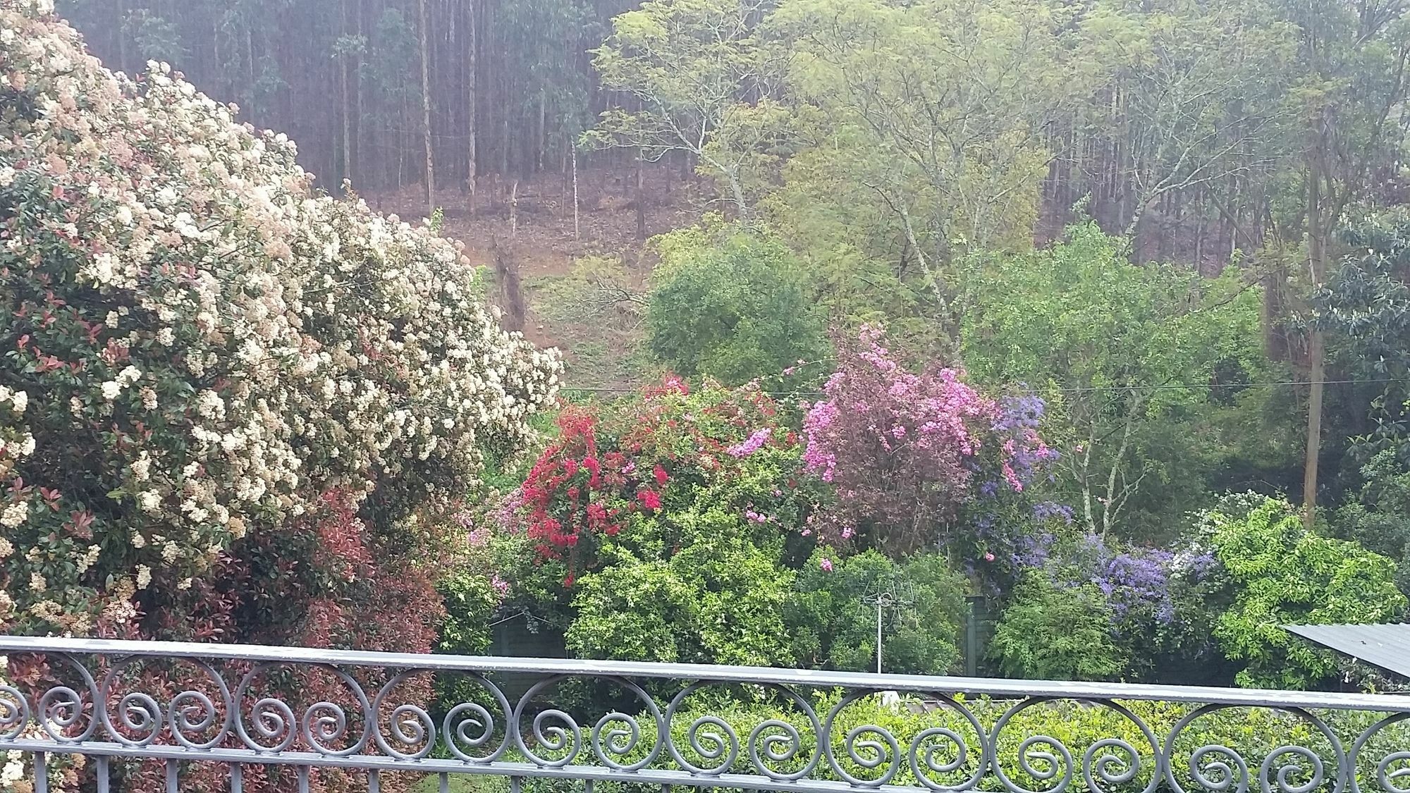 Babbling Brook Bed & Breakfast Pietermaritzburg Exterior foto